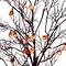 4ft. Pre-Lit Artificial Halloween Black Twig Tree with 24 Orange LED Pumpkin Shaped Lights